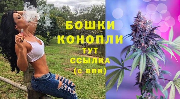 ECSTASY Богородицк