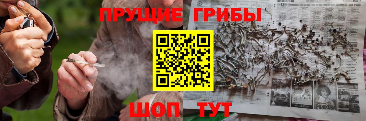 Псилоцибиновые грибы Cubensis Воскресенск